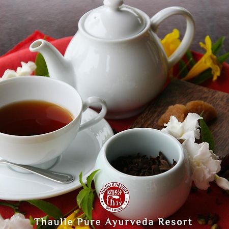 Thaulle Ayurveda Resort - Yala Tissamaharama Kültér fotó