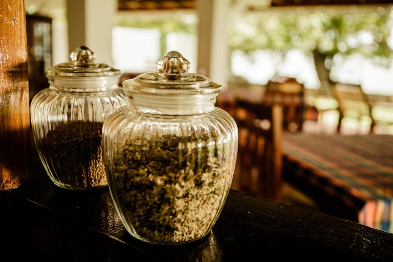 Thaulle Ayurveda Resort - Yala Tissamaharama Kültér fotó