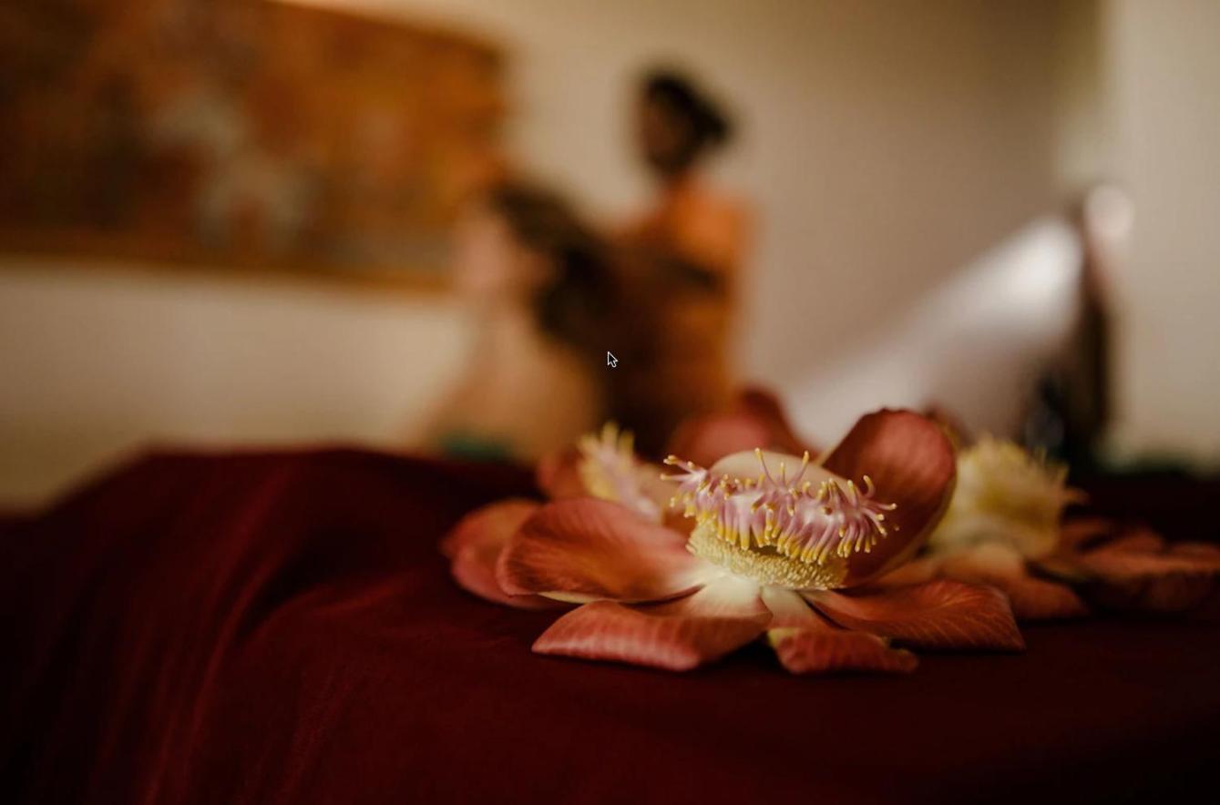 Thaulle Ayurveda Resort - Yala Tissamaharama Kültér fotó